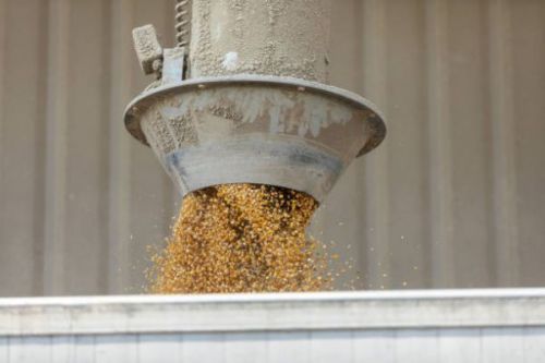 Базиси для продажу зерна: CPT, CIF, FOB