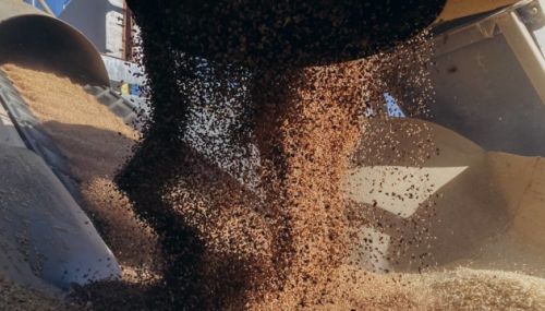 Прогноз експорту зерна з України у 2026/27 МР