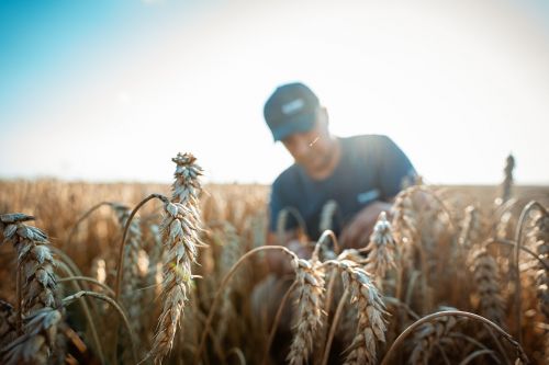 Працівник агросектору України