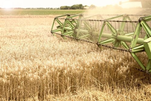 Жнива зернових у південних районах Одеської області 