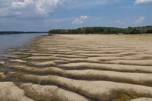 Рекордно низький рівень води в Дунаї