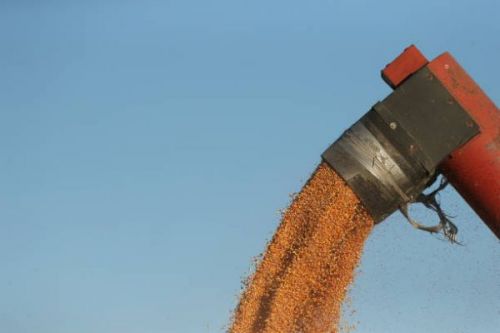 Прогноз експорту зерна з України