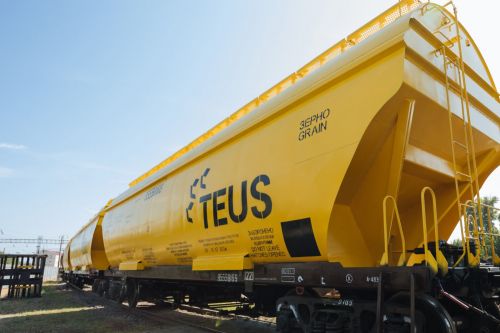 Вагони-зерновози TEUS