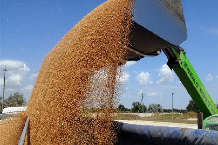 На минувшей неделе украинские порты увеличили экспортные отгрузки зерна на 25%