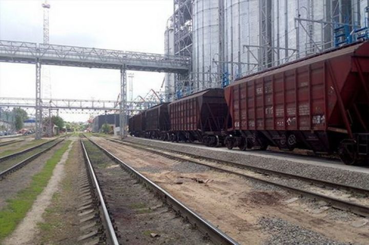 Июньские экспортные отправки украинского зерна по ж/д уступают прошлогодним 0,79 млн т
