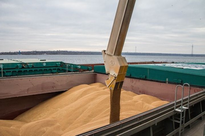 Экспорт украинских зерновых с начала 2018/19 МГ составил 1,5 млн т