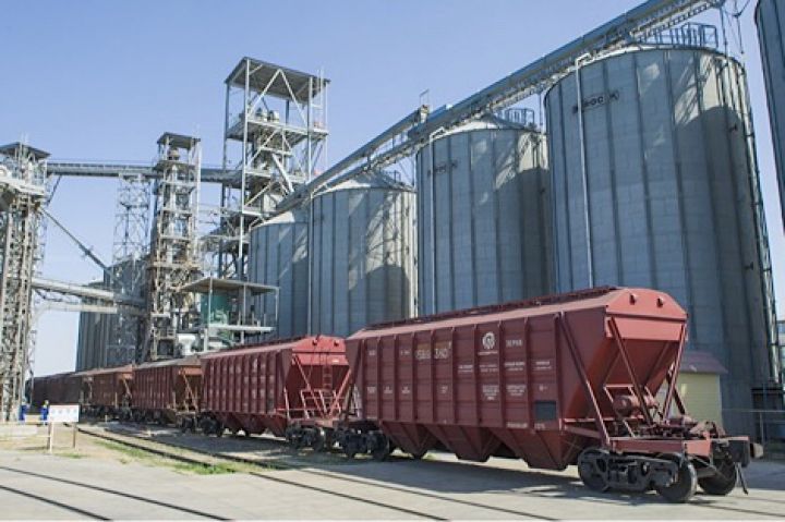 Украинские аграрии несут убытки из-за закрытия ж/д станций 