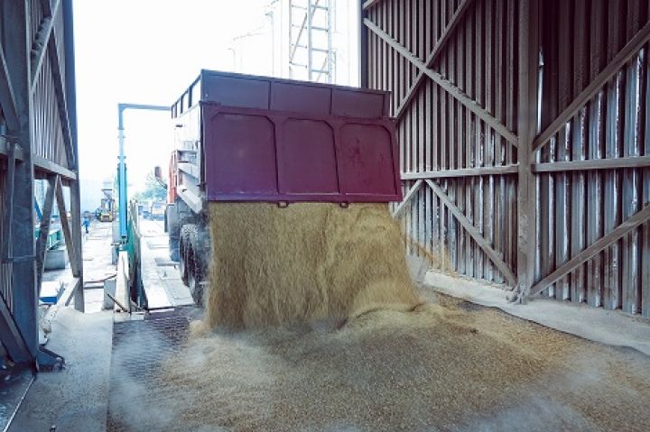 Зернохранилища РОСТОК-ХОЛДИНГ приняли 69,4 тыс. т ранних зерновых