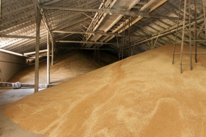 Рынок нервно отреагировал на намерение правительства ввести квоту на вывоз зерна