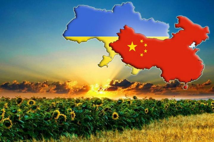 Украина за 5 лет увеличила экспорт зерновых в Китай в 20 раз