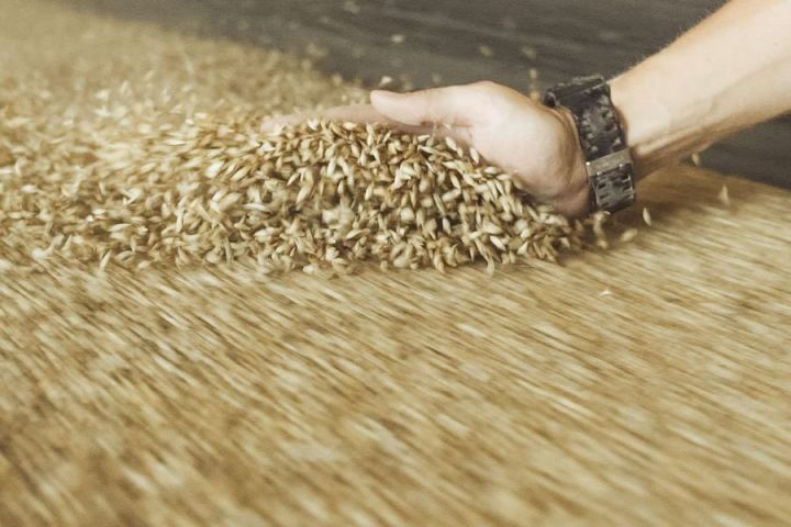 Элеваторы Астарты с начала 2019/20 МГ приняли 1 млн тонн зерна
