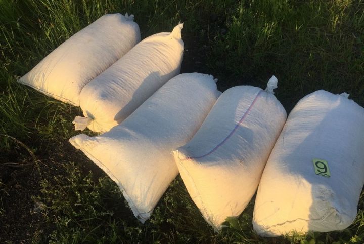 Злоумышленники пытались украсть кукурузу с вагона на станции в Полтавской области 