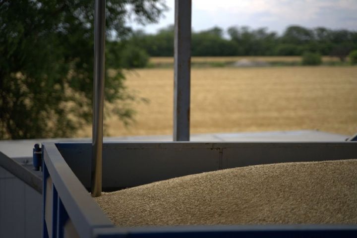 Элеваторы G.R. Agro начали приемку зерна нового урожая