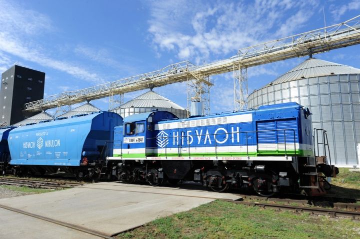 НИБУЛОН приобрел маневровый локомотив для работы на станции Николаев