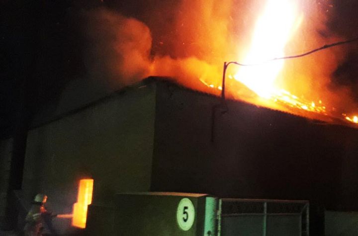 Пожар уничтожил линию переработки подсолнечника в Николаевской области