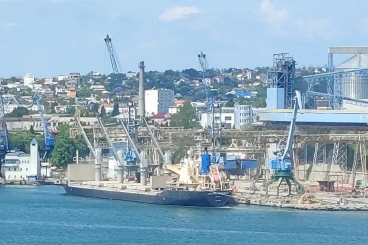 Біля зернового термінала в бухті Авліта стоїть на завантаженні судно класу балкер