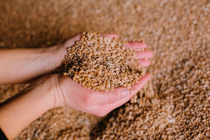 2 тисячі тонн зерна відправлять з Волині на Харківщину