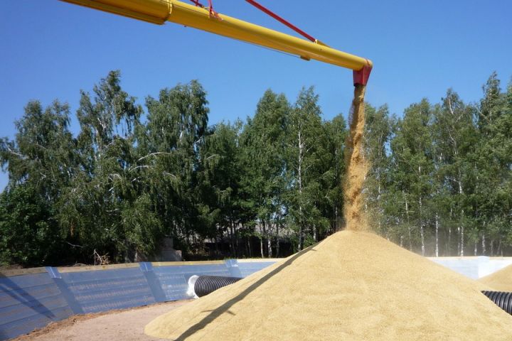Мінагрополітики розглядає варіант мобільних сховищ для зберігання 10-15 млн т зерна