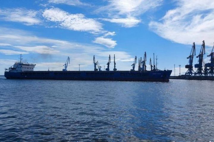 Окупанти вивезли 7 тис. тонн українського зерна з Бердянського морського порту. 