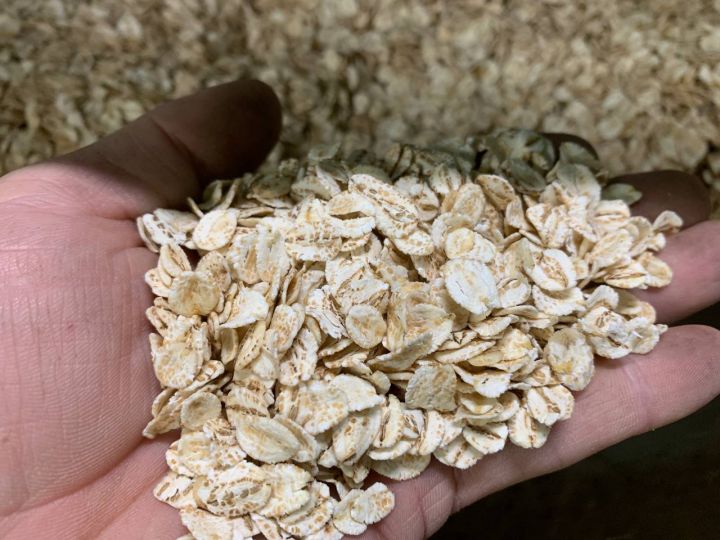 ТОВ «ЕКОР ТЗ» у Тернопільській області запустив завод для виробництва пластівців з обладнанням OLIS