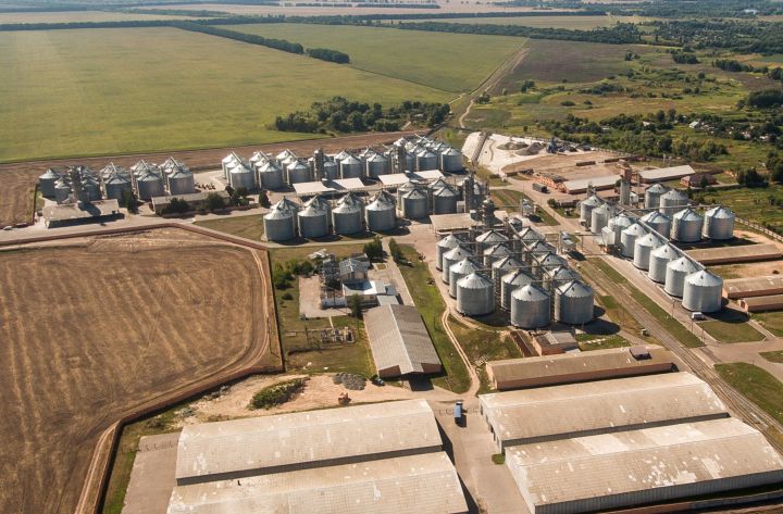 Активи агрохолдингу «Земля і Воля» на Чернігівщині