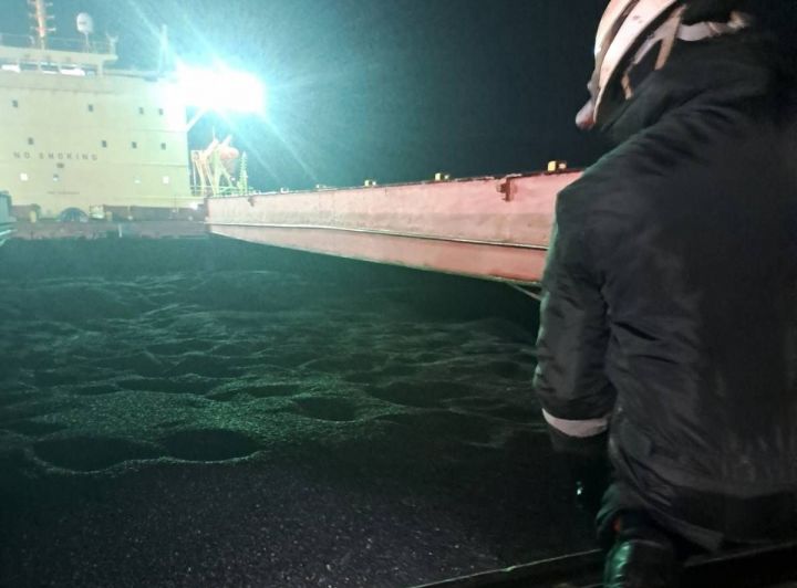 Відбір проб аргентинського соняшнику з судна в порту Варна, Болгарія