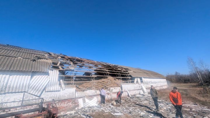 Атака Росії Пошкоджене зерносховище в селі Іванівка на Чернігівщині внаслідок влучання російського безпілотника