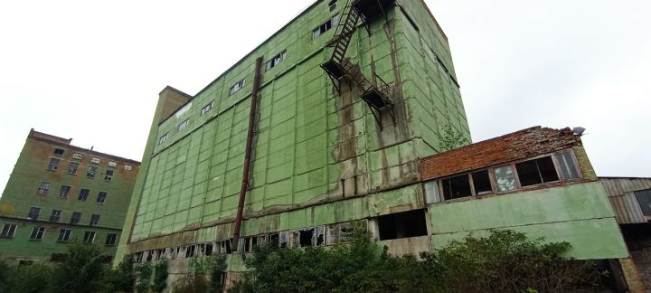 Єдиний майновий комплекс ДП «Неполоковецький комбінат хлібопродуктів» в Чернівецькій області