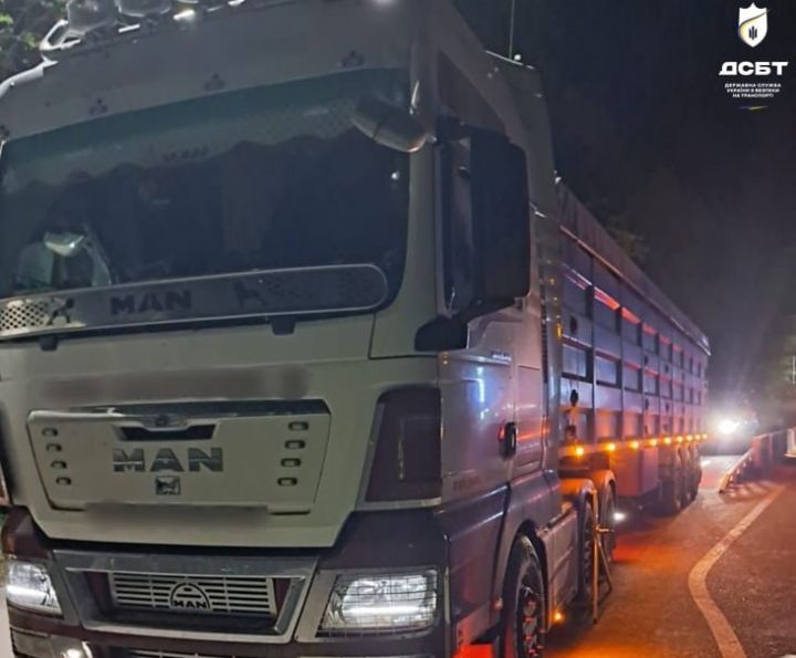 Вантажівка-зерновоз заблокована за перевищення габаритно-вагових норм у Києві