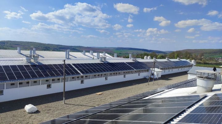 Сонячні панелі на об'єкті агрокомпанії «Ґудвеллі Україна» в Івано-Франківській області