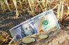 Азбука Зернотрейдинга: Внешние факторы, которые влияют на цену зерна