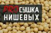 ProСушка: Как сушить нишевые культуры