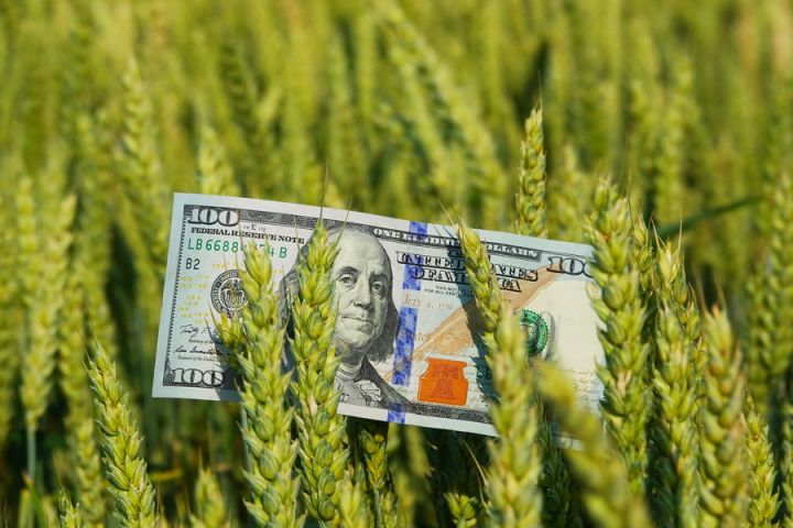 Азбука Зернотрейдинга — биржа, фьючерс и торговля зерном
