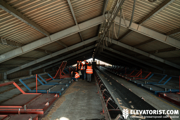 Комірки для сушки кукурудзи на третьому поверсі сушарки