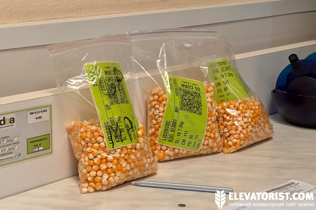 Контрольні зразки насіння