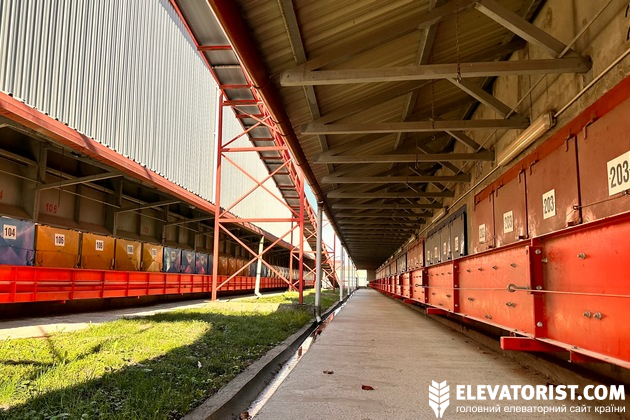 Висушені качани отримують із комірок ззовні зерносушарки. Вони подаються на побальшу обробку стрічковими транспортерами