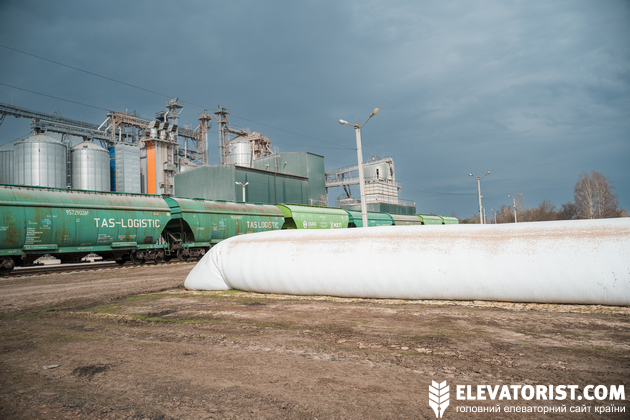 Цього року в рукава заклали рекордну кількість вологої кукурудзи