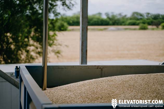 На елеваторах в Канаді можуть робити махінації з якістю зерна. Фото ілюстративне
