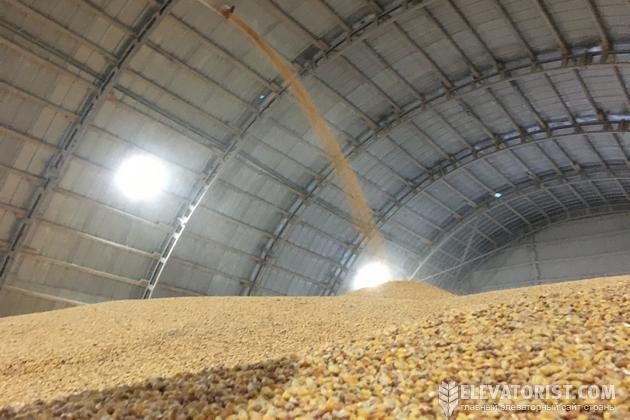 Можливість зберагати кукурудзу до кінця сезону може бути перевагою на ринку.