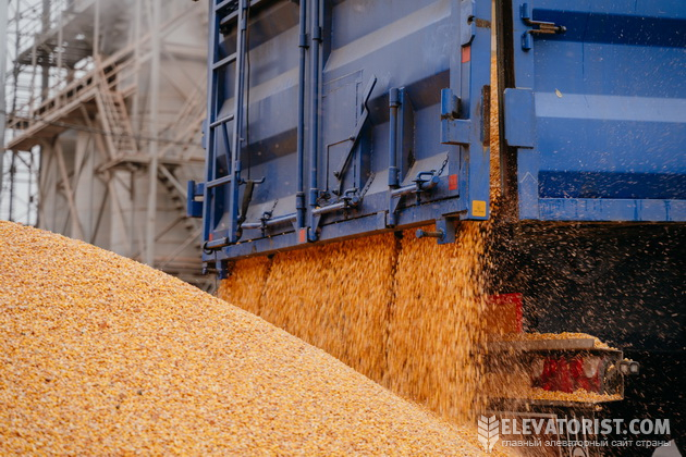 У 2021 році аграрії України отримали рекордний врожай зерна, приблизно 107 млн тонн збіжжя