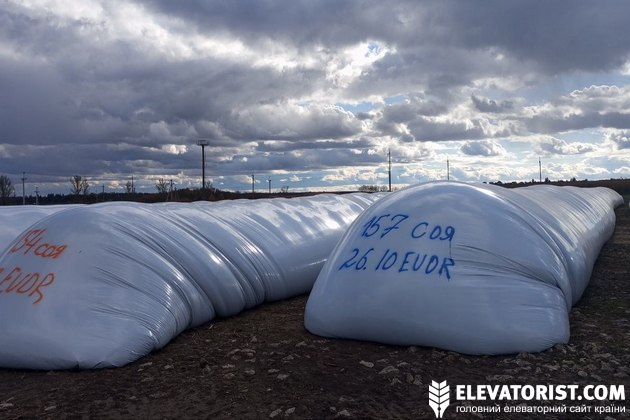 До впровадження Регламенту EUDR український ринок готувався заздалегідь