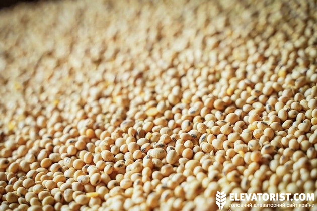 Обсяги експорту сої в поточному сезоні очікувано менші минулорічних