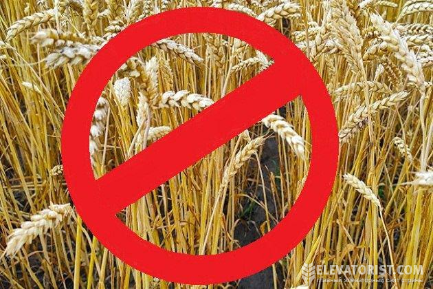 В России задумались над новыми ограничениями экспорта зерна